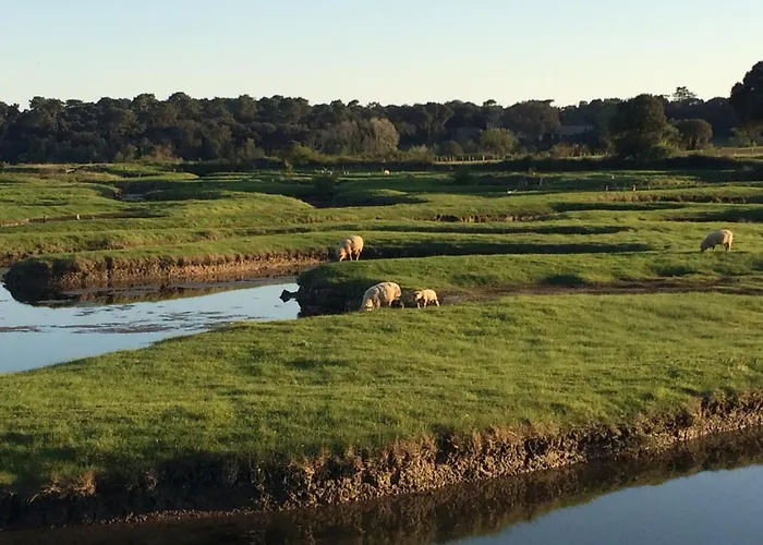 Un Independant Avec Jardin Tatil Evi *