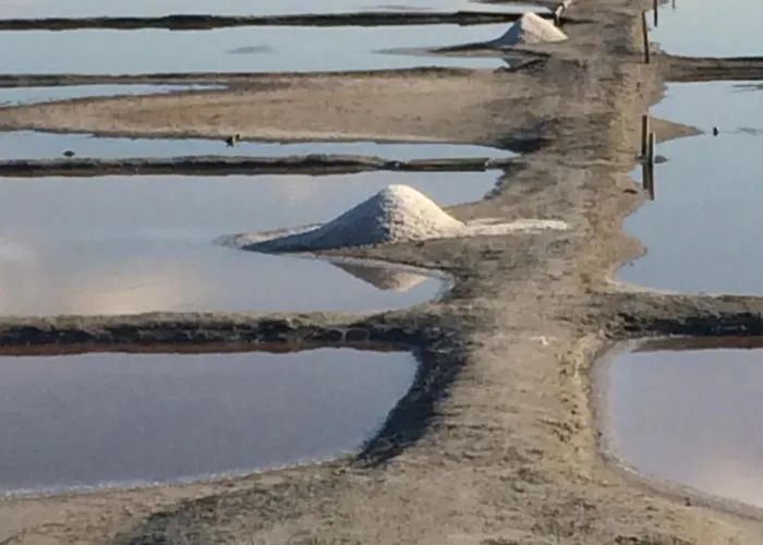 Tatil Evi Un Independant Avec Jardin *