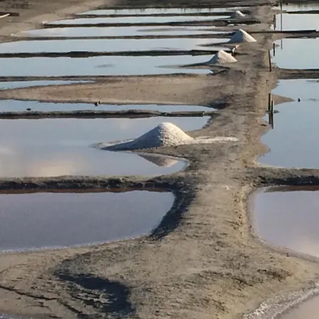 بيت للعطل Un Independant Avec Jardin *