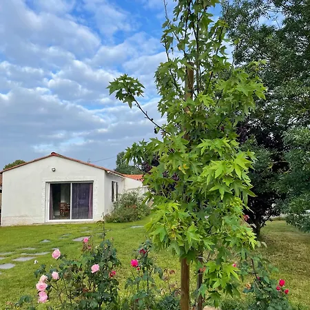 Un Independant Avec Jardin